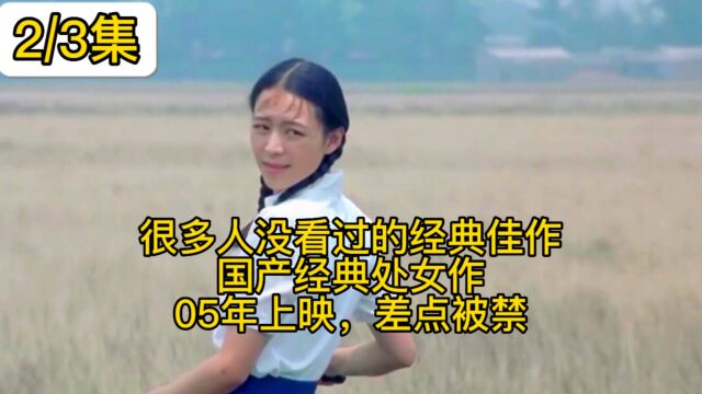 很多人没看过的经典佳作 国产经典处女作 05年上映,差点被禁