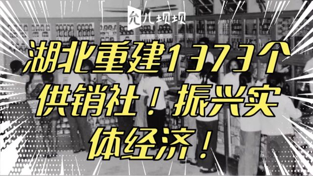 湖北重建1373个供销社!振兴实体经济!