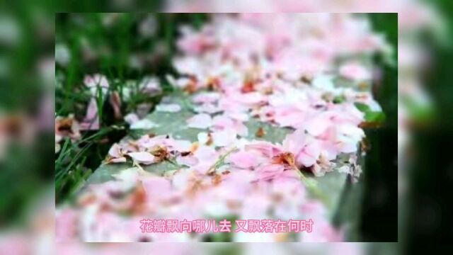 青瓦又新雪,遥遥归无期