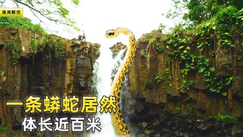 丛林出现一条蟒蛇，体长近百米