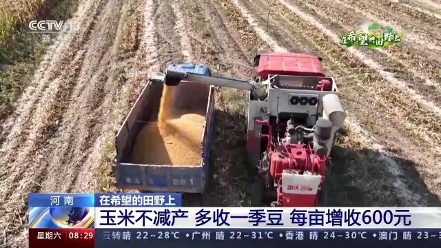 【央视朝闻天下】河南:金豆银豆长势喜人 百万亩大豆玉米收割忙