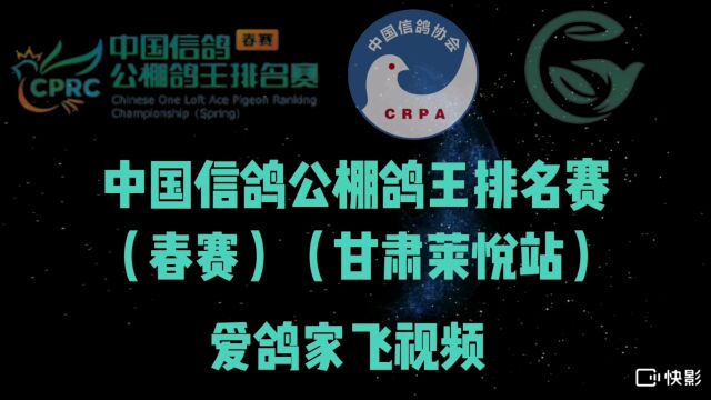 中国信鸽公棚鸽王排名赛(春赛)(甘肃莱悦站) 爱鸽家飞视频