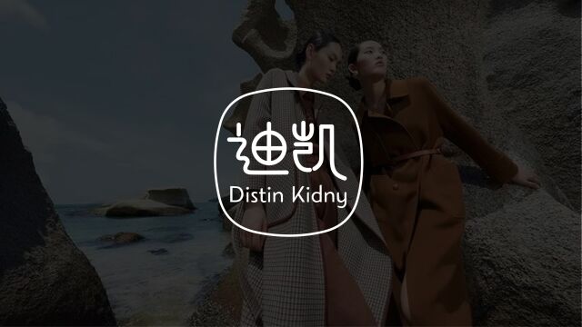 Distin Kidny 迪凯