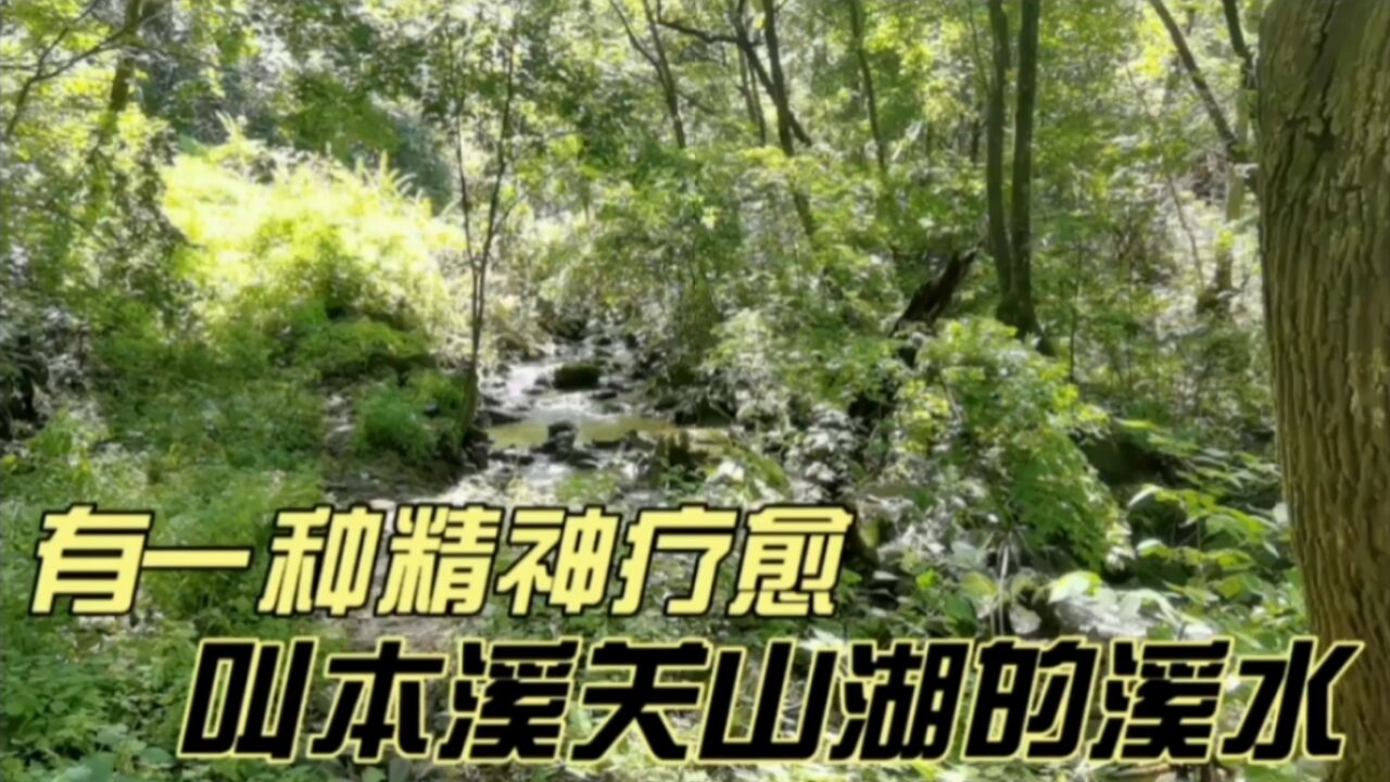 有一种精神疗愈,叫本溪关山湖,溪水潺潺