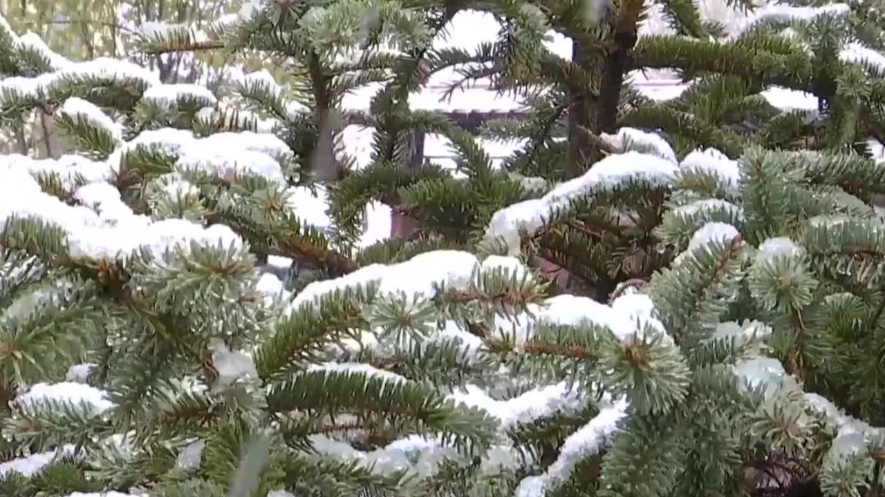 冷空气来袭,多地现雨雪降温天气!听专家解读本轮冷空气过程有何特点?