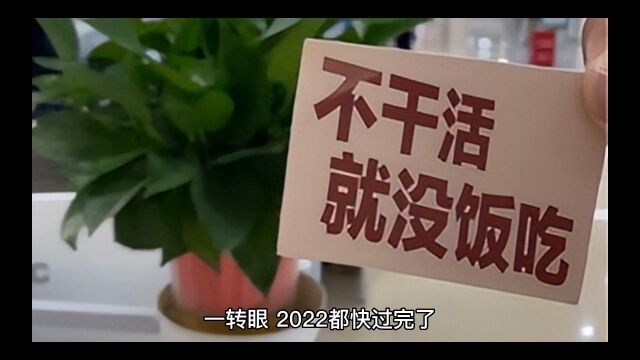 速客宝靠谱短视频创业项目造就成功,跨越传统行业壁垒,尽享财富未来