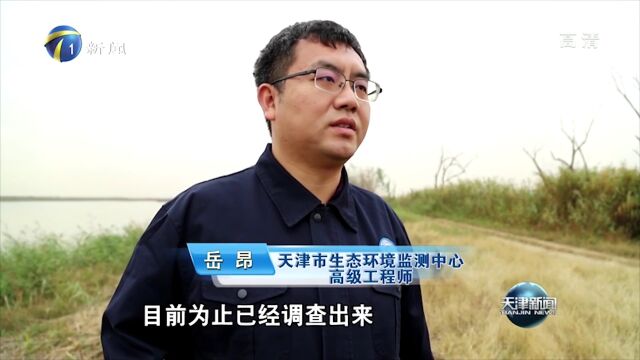 学习宣传贯彻党的二十大精神ⷮŠ宁河好声音丨七里海秋季候鸟再登《天津新闻》