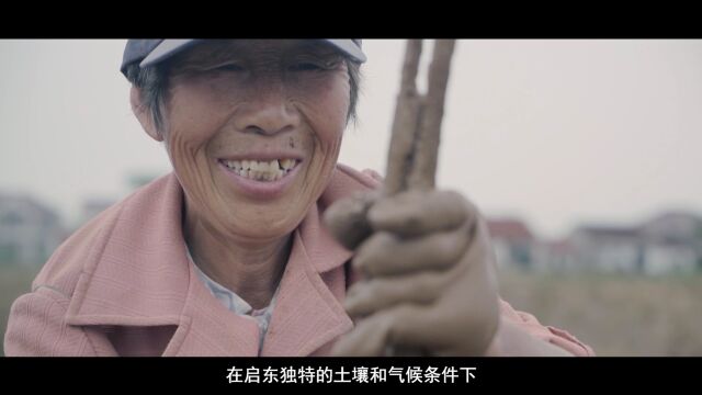 江苏启东:日出东方,启吾东疆