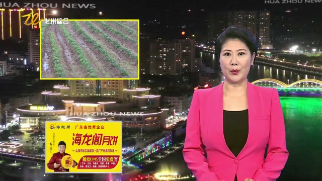 撂荒地变成“金土地” 冬田耕种不闲置