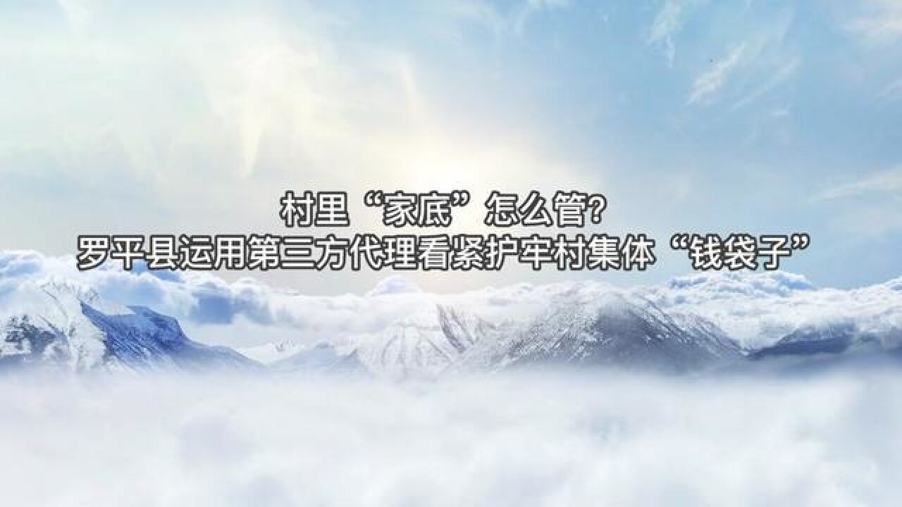 村里“家底”怎么管?罗平县运用第三方代理看紧护牢村集体“钱袋子”