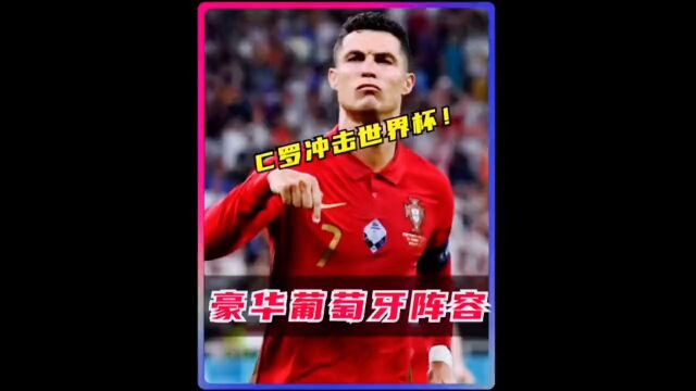 2022卡塔尔世界杯 葡萄牙阵容