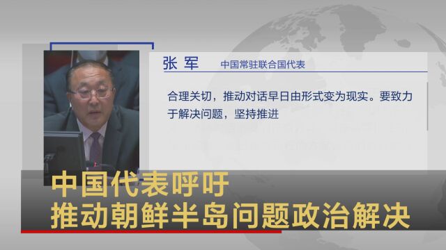 中国代表呼吁推动朝鲜半岛问题政治解决