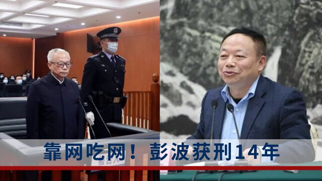 落马前夕仍受贿!靠网吃网受贿5464万余元,彭波获刑14年