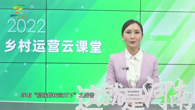 河南省推进乡村与振兴:乡村运营师云课堂(下)