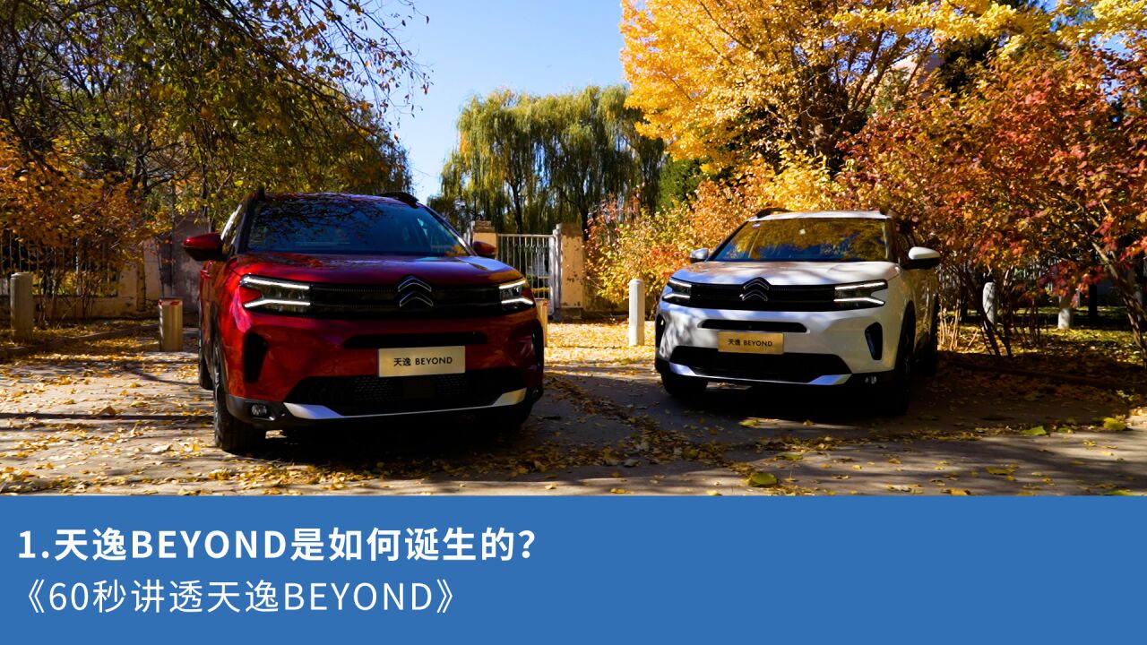 1.天逸BEYOND是如何诞生的?