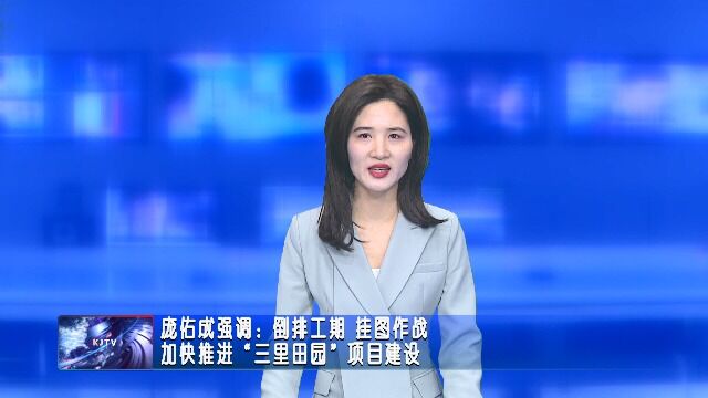 庞佑成强调:倒排工期 挂图作战 加快推进“三里田园”项目建设