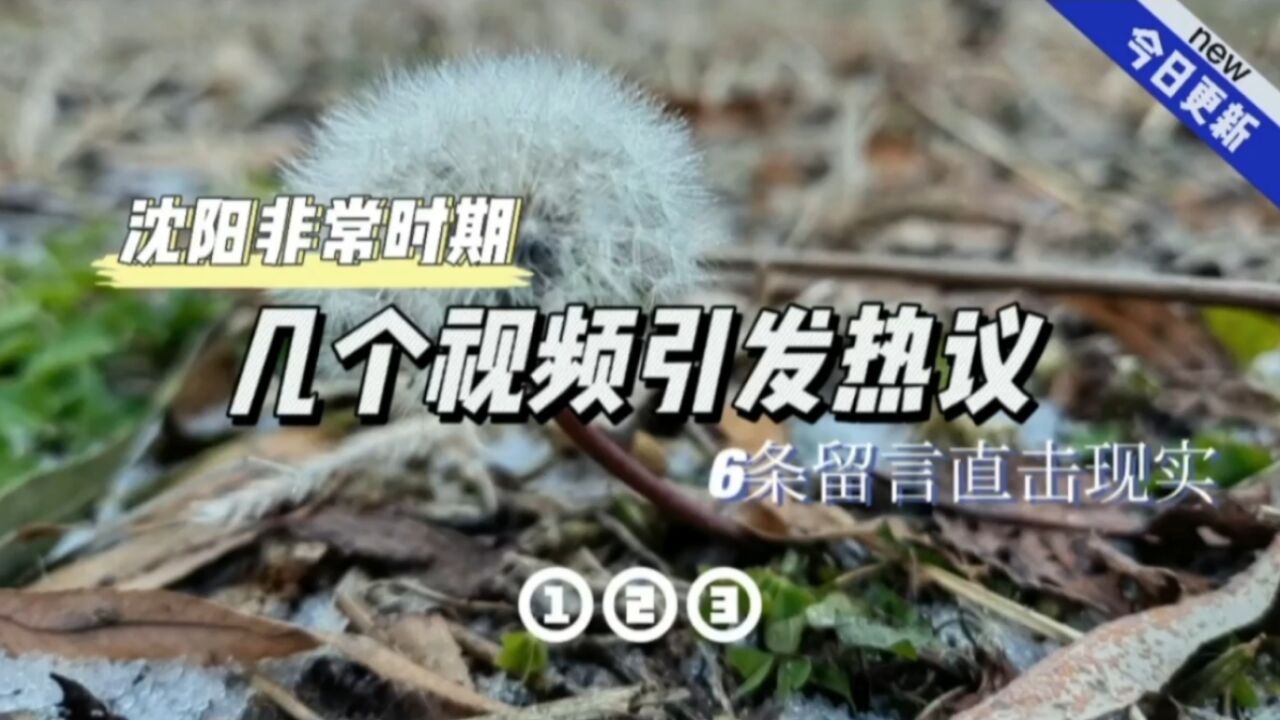 沈阳非常时期,几个视频引发热议,6条留言直击现实(1、2、3)