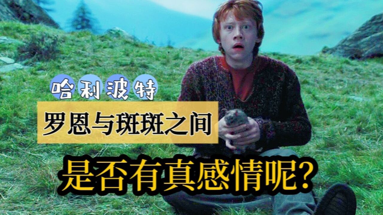 《哈利ⷦ𓢧‰𙣀‹:罗恩与斑斑,他们之间是否有真感情呢?