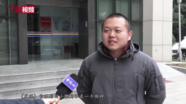 新物种瓯江小鳔鮈首次发现口唇如同一张“二维码”