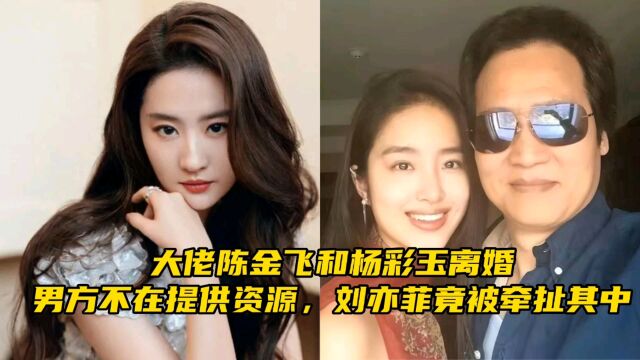 大佬陈金飞和杨彩玉离婚,男方不在提供资源,刘亦菲竟被牵扯其中