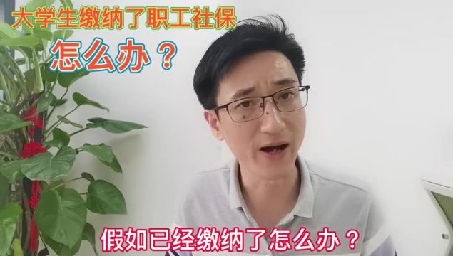 大学期间缴纳社保,会影响应届生身份吗?怎么办?