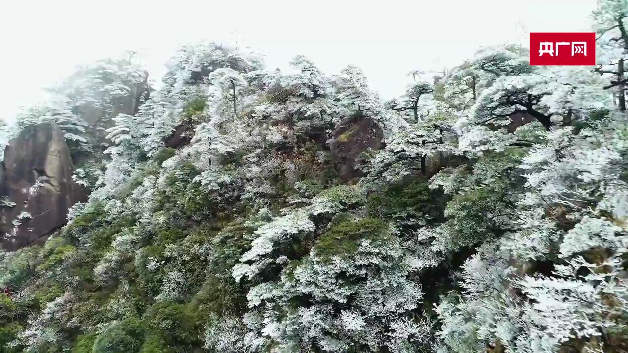 三清山迎来今冬首场雾凇 扮靓人间仙境