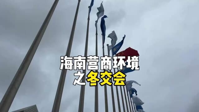 海南省营商环境建设厅成立,2022年冬交会、海南消费博会海南迎来新征程!营商环境进一步优化!#冬交会 #营商环境优化