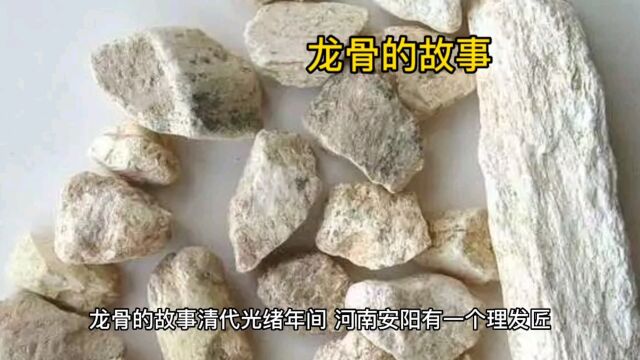 龙骨的故事