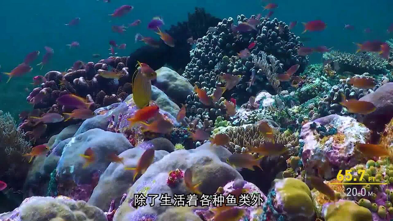 海底最深处,究竟隐藏着怎样的秘密?