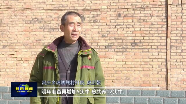 深入学习宣传贯彻党的二十大精神冯庄乡虎崾岘村发展养殖业拓宽致富路