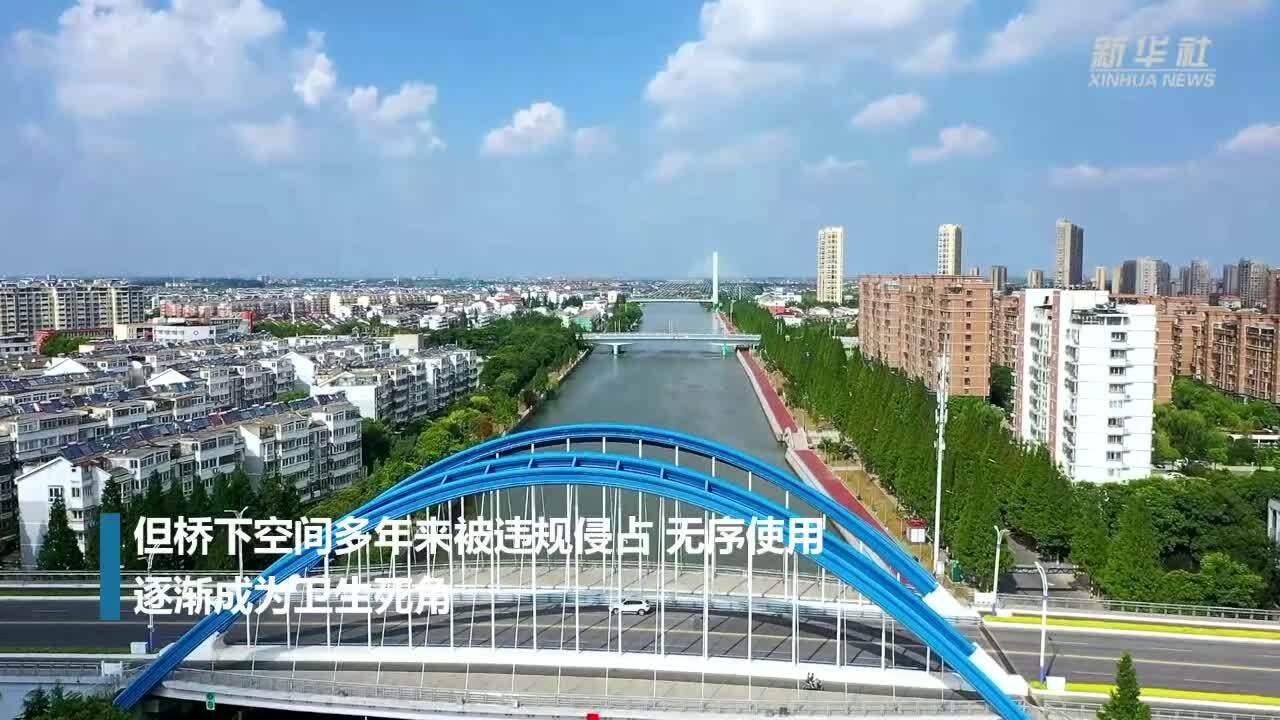 江苏兴化:“桥下文化角”激活闲置空间