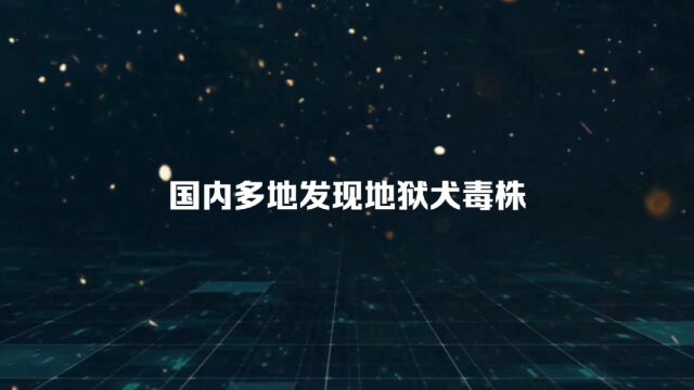 国内多地发现地狱犬毒株