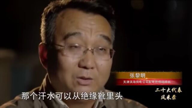 【二十大代表风采录】张黎明:点亮万家的蓝领工匠