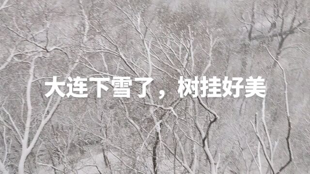 下雪了,打雪仗,堆雪人,儿时记忆