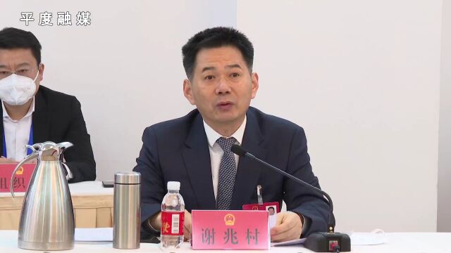 邓云锋参加平度代表团审议时强调:以扎实有力举措开创高质量发展新局面