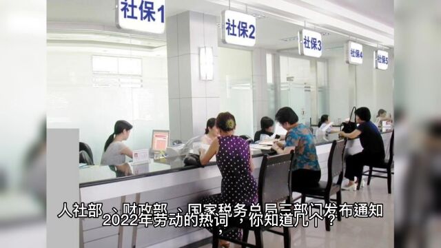 2022年劳动的热词,你知道是什么吗