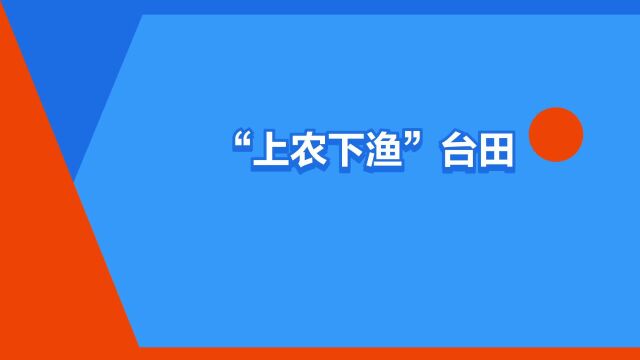 ““上农下渔”台田模式”是什么意思?