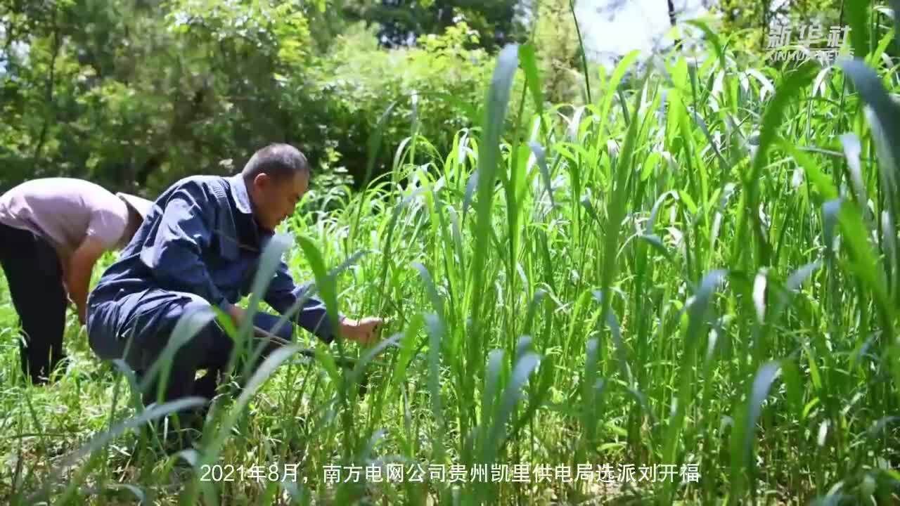 驻村第一书记刘开福的乡村振兴计划