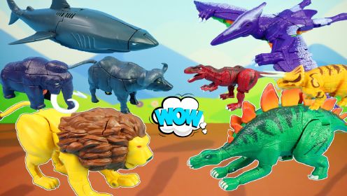 咖宝车神巨兽时代玩具，恐龙大集结！