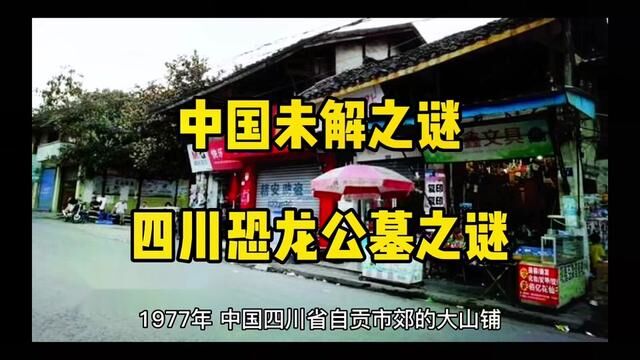 中国未解之谜#探索发现 #未解之谜奇闻异事 四川恐龙公墓之谜