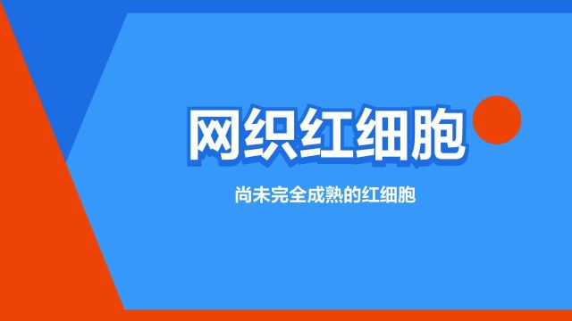 “网织红细胞”是什么意思?