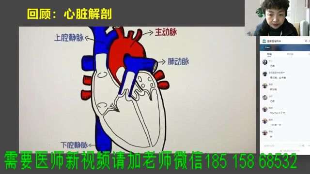 2023年临床执业医师临床助理医师呼吸系统21——薇薇老师