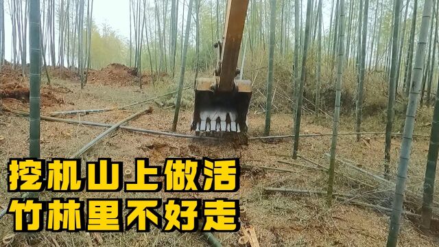 竹林里覆盖一层黄土,挖机进里面太困难,无奈扒掉碍事竹子才下去