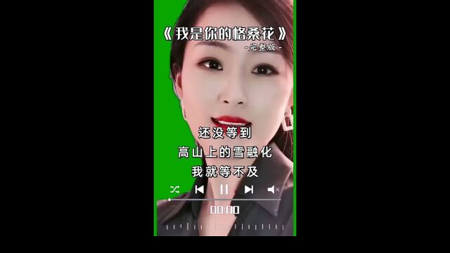 你是我的格桑花,经典歌曲.