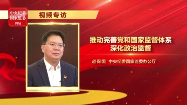 视频专访丨推动完善党和国家监督体系 深化政治监督