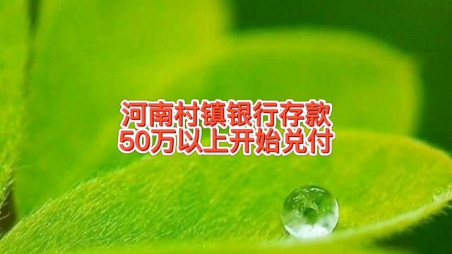 河南四家村镇银行存款50万以上兑付,储户安心过年,本金没啥损失