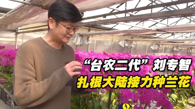 “台农二代”刘专智扎根大陆接力种兰花:这里是最好的市场!