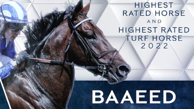 Baaeed 2nd Highest Rated Horse and Highest Rated Turf Horse in the World in2022