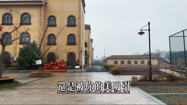 2023年第一波寒潮来袭,气温骤降,雨中的校园静谧迎春