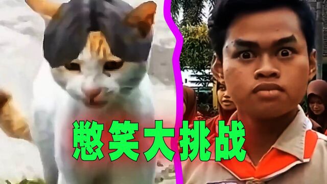 憋笑大挑战:五种难度视频,你能通关吗?